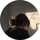 hor s. Avatar